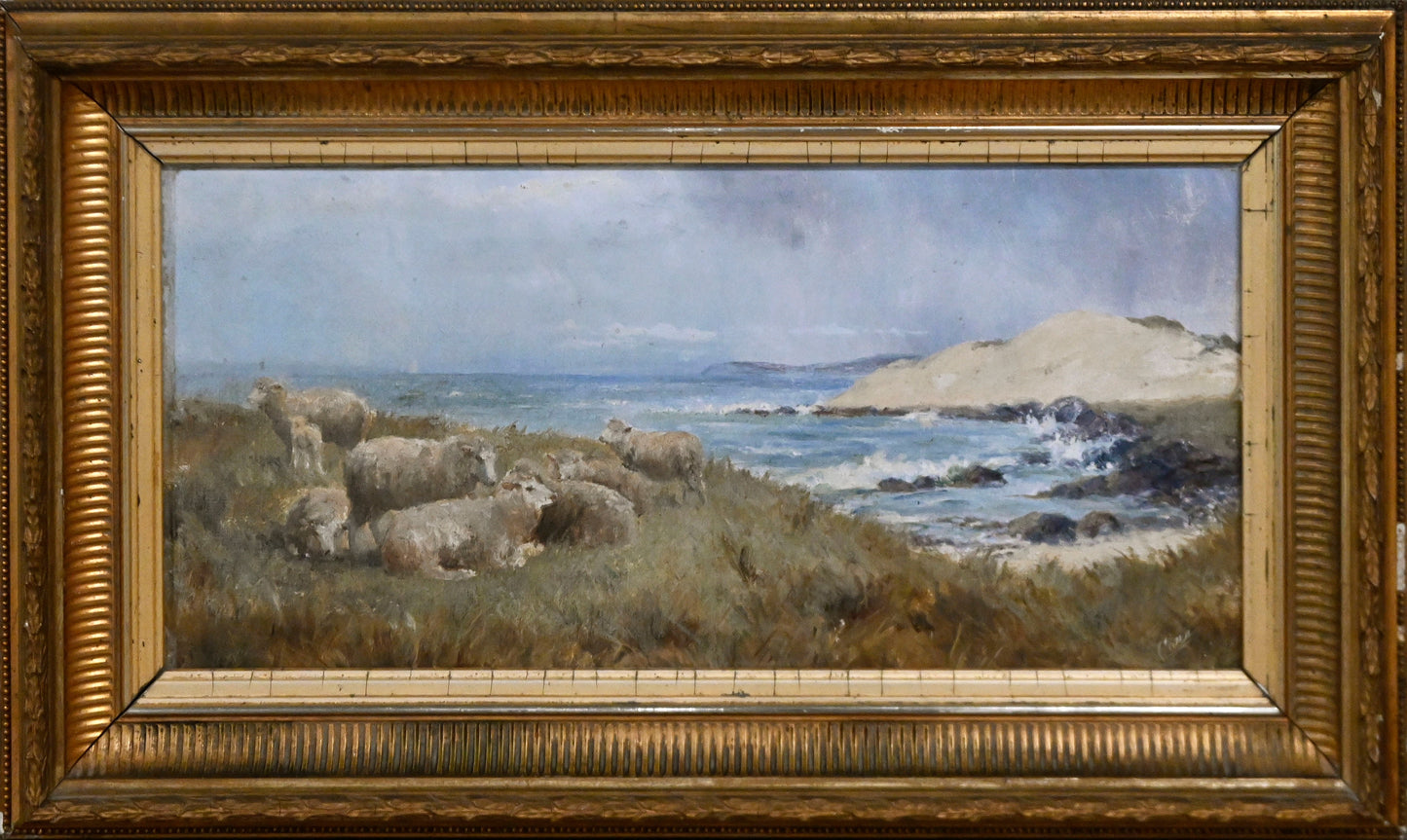 ARTIST UNKNOWN (EUROPEAN SCHOOL SIGNED CARA), (COASTAL LANDSCAPE), OIL ON CANVAS, SIGNED LOWER RIGHT, 22.5 X 49CM, FRAME SIZE: 38 X 64.5cm.
