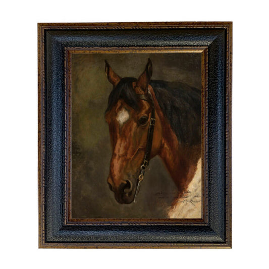 HORSE HEAD PORTRAIT PRINT WOODEN TRINKET / JEWELLERY BOX, 16 x 11 x 5cm.