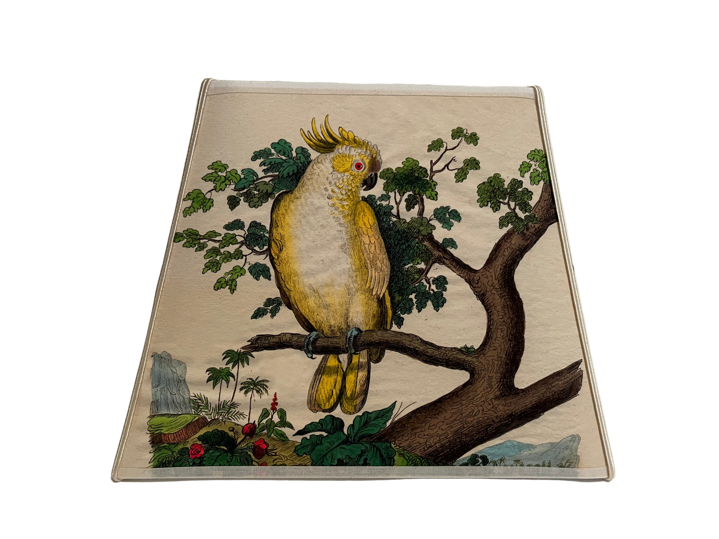 COCKATOO 7 FOLIAGE, FRENCH LAMPSHADE SMALL RECTANGLE PM, WIDTH 20cm, HEIGHT 15.5cm.