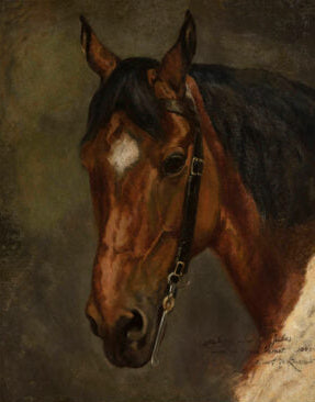 HORSE HEAD PORTRAIT PRINT WOODEN TRINKET / JEWELLERY BOX, 16 x 11 x 5cm.