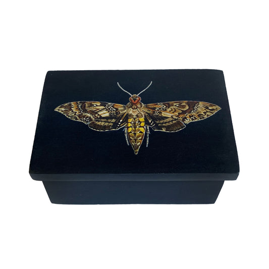 HAWK MOTH BLACK LIDDED SOAPSTONE DISH, 7.5 x 5.5cm