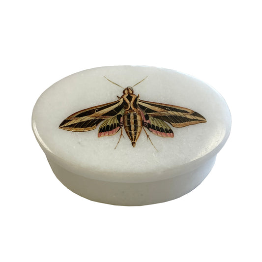 SPINX MOTH OVAL LIDDED SOAPSTONE DISH, 7.5 x 5.5cm