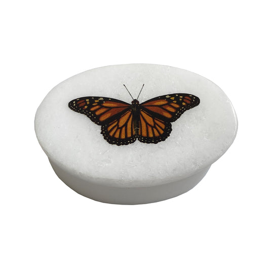 MONARCH BUTTERFLY OVAL LIDDED SOAPSTONE DISH, 7.5 x 5.5cm